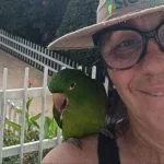 Marinalva vende calças para salvar maritaca prensada em Manhumirim