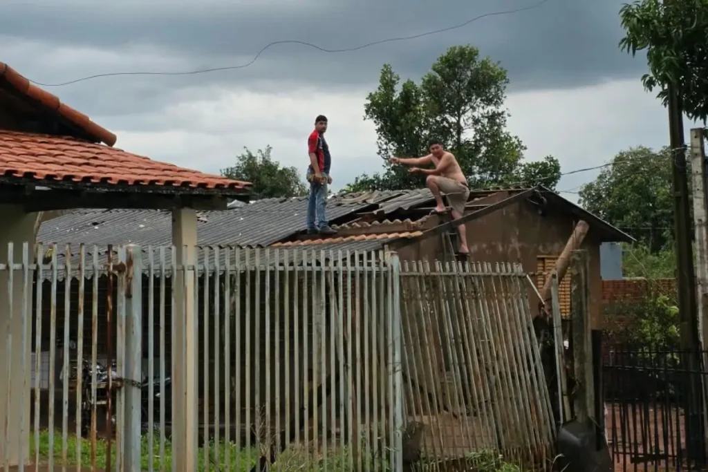 temporal amambai 1
