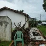 Temporal causa destruição e queda de árvores em Amambai