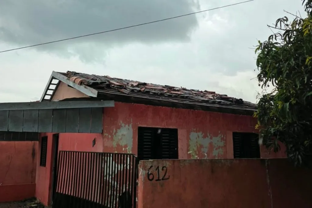 temporal amambai 3