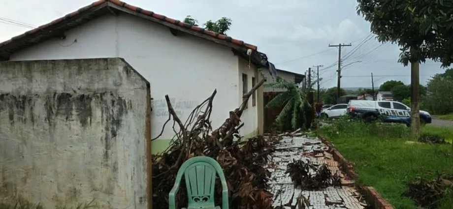Temporal causa destruição e queda de árvores em Amambai