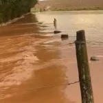 Temporal causa estragos em lavouras de Antônio João, MS