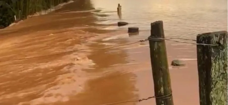 Temporal causa estragos em lavouras de Antônio João, MS
