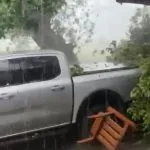 Temporal derruba árvore em casa em Aquidauana, MS