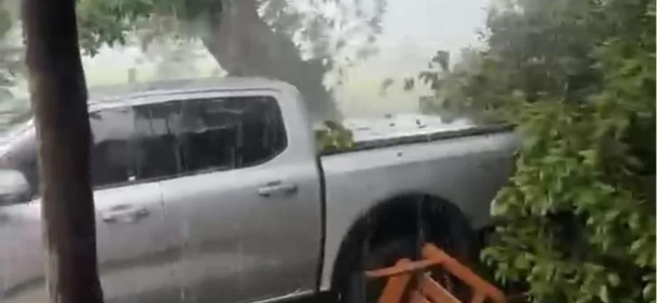 Temporal derruba árvore em casa em Aquidauana, MS