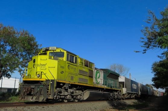 Eldorado avalia segunda linha de celulose em Três Lagoas
