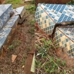 Túmulos são danificados por árvore em cemitério de Campo Grande
