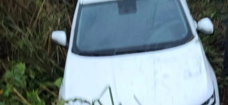 Carro aquaplana e sai da pista na BR-267 em Caracol