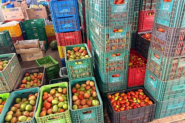 Aumento nos Preços de Alface, Cebola e Tomate na Ceasa de Mato Grosso do Sul